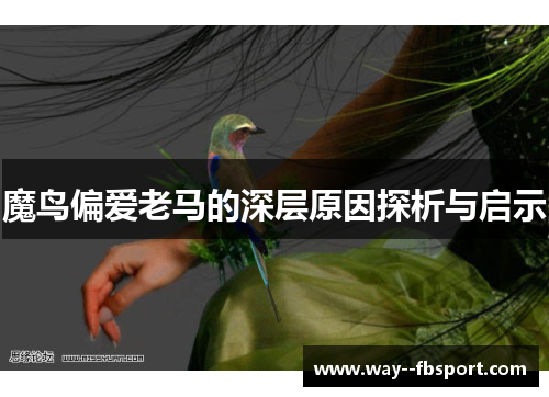 魔鸟偏爱老马的深层原因探析与启示