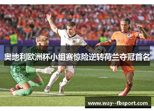 奥地利欧洲杯小组赛惊险逆转荷兰夺冠首名