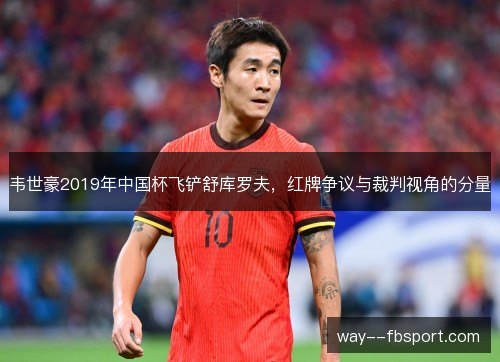 韦世豪2019年中国杯飞铲舒库罗夫，红牌争议与裁判视角的分量